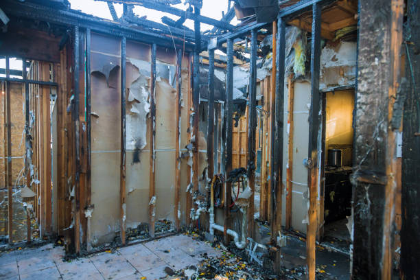 Professional Odor Removal technician working in Gainesville, TX