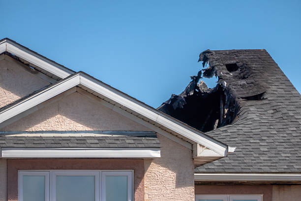 Top rated local Odor Removal specialists in Gainesville, TX
